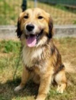 Freundlicher Jazz - Ellerbek