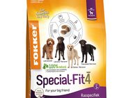 Fokker Dog Special-Fit 4 - Sparpaket: 2 x 13 kg