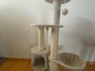 Katzenkratzbaum - Alt St. Johann