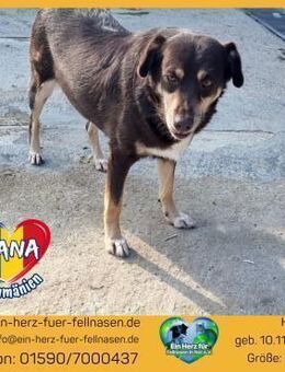 DANA-der Kummerspeck soll weg - Waakirchen