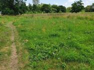 Ein Platz an der Leuchte, Wohnen am Park ! - Frankfurt (Main)