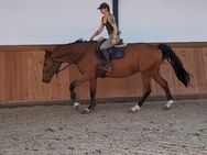 Betritt / Coaching /Horsemanship für Sportpferde - Gießen