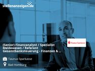 (Senior) Finanzanalyst / Spezialist Meldewesen / Referent Gesamtbanksteuerung - Finanzen & Meldewesen (m/w/d) - Bad Homburg (Höhe)