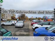 VW Golf, VII TDI IQ Drive, Jahr 2019 - Munster