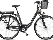 Telefunken E-Bike Cityrad Multitalent RC657, 7 Gang Shimano Nexus Schaltwerk, Nabenschaltung, Frontmotor, 536,5 Wh, Pedelec, Elektrofahrrad für Damen u. Herren