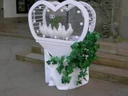 Hochzeitstauben Weiße Tauben - Frankenberg (Eder)