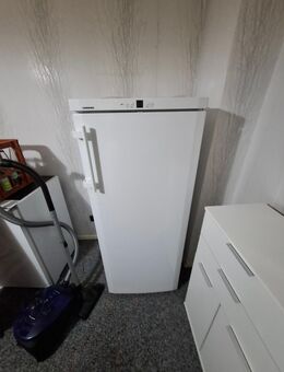 Liebherr GNP 2313 Comfort NoFrost - Duisburg