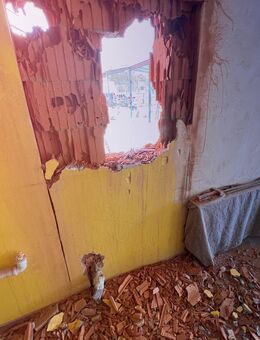 Tür- oder Fensteröffnung in Leichtbauwände schneiden * - Dortmund