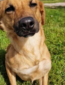 MALIN ❤️ EILIG! - Langenhagen