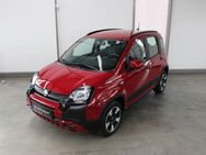 Fiat Panda, 1.0 Mild Hybrid, Jahr 2023 - Heidenheim (Brenz)