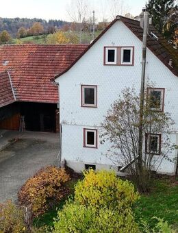 Einfamilienhaus mit Scheunen und separater Einliegerwohnung - Wohnrecht der Eigentümerin nur für die Einliegerwohnung - Michelstadt