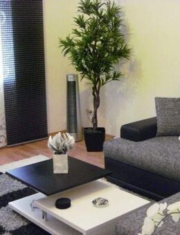 Viernheim, (voll möbliert) Stilvoll eingerichtete schöne 2 Zimmer Wohnung - Viernheim