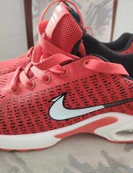 Sportschuhe - Dessau-Roßlau