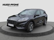 Ford Kuga, 2.5 ST-Line Duratec, Jahr 2023 - Oldenburg (Holstein)