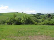 ***Ruhige Ortsrandlage mit schönem unverbaubarem Fernblick*** - Mehren (Landkreis Vulkaneifel)