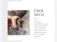 Ich kann auf ihre Katzen aufpassen - Berlin Charlottenburg-Wilmersdorf