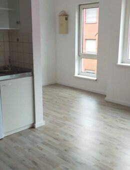 Möbliertes 1 Zimmer Apartment in Ludwigshafen zu vermieten. - Ludwigshafen (Rhein)