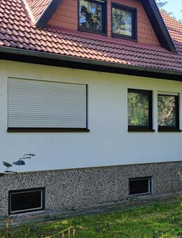 Wohnen im eigenen Mikroklima in Schöningen - Schöningen