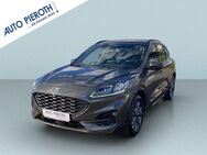 Ford Kuga 2.5 Duratec PHEV ST-LINE X - Bingen (Rhein)