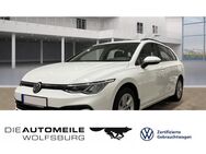 VW Golf Variant, 1.5 TSI Golf 8 VIII Life Stand, Jahr 2021 - Wolfsburg