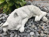 Schlafende Katze - lebensechte Tierfigur, aus Stein - Heek