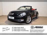 VW Beetle, Cabriolet Club, Jahr 2015 - Korbach (Hansestadt)