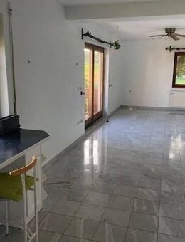 2 Wohnungen mit großem Sondernutzungsrecht am Garten und eine Lagerhalle in Ortsrandlage - Hemhofen