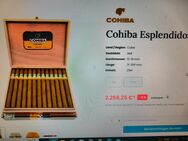 Havanna Cohiba Esplendidos 25 Zigarren - Essen