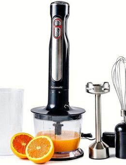 Hanseatic Akku-Stabmixer 98126929 versch. Aufsätze, hochwertiger Edelstahl Mixfuß, 100 W, kabellos, wiederaufladbarer 12-V-Li-Ion-Akku, inkl. 2 Mixbecher