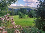 Ein wahres Juwel - weitläufiges Freizeitgrundstück mit traumhaftem Blick auf den Silberberg in Bodenmais - Bodenmais