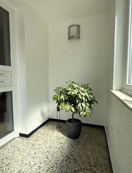 helle sanierte Altbau Wohnung - Bad Salzuflen