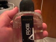 Parfum-Paket Herren – 7 Düfte (Playboy, Figenzi, Frenzy, Axe, Louis W.) – ca. ¾ voll - Bramsche Zentrum