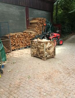Brennholz, Feuerholz, Fichtenholz,Trocken - Hattingen
