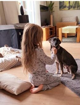 FEY - in 52531 Übach-Palenberg - Weilheim (Oberbayern)