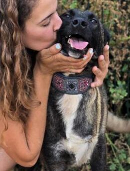 Kenya lebensfrohes Malinois Mädchen10/24 - Ruppertsecken