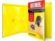 5x Klebefallen für Ratten und Mäuse – Ratimor Set3241 - Wuppertal