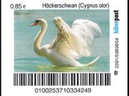 Biberpost: "Vögel: Höckerschwan", Satz, postfrisch - Brandenburg (Havel)