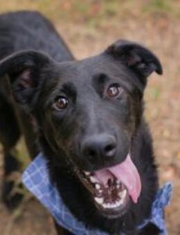 KEONI - glückliche Momente erleben - Overath