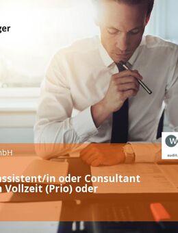 Prüfungsassistent/in oder Consultant (m/w/d) in Vollzeit (Prio) oder Teilzeit - Celle