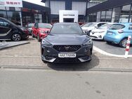 Cupra Formentor 2,0 TSI VZ 4Drive Leder Paket-AHK - Münster