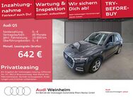 Audi Q5, 2.0 TDI quattro, Jahr 2022 - Weinheim