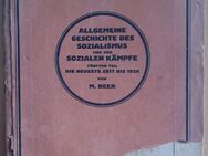 Allgemeine Geschichte des Sozialismus 1923 Teil 5 - Grävenwiesbach