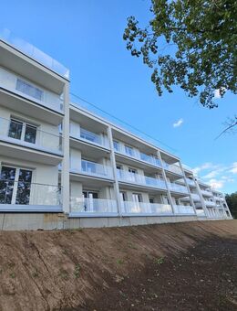 Erdgeschosswohnung mit Terrasse Martinerfeld 65 - Trier
