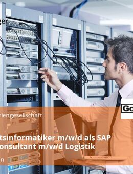 Wirtschaftsinformatiker m/w/d als SAP Inhouse Consultant m/w/d Logistik - Memmingen