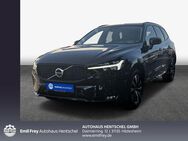 Volvo XC60 B4 D Plus Dark - Hildesheim