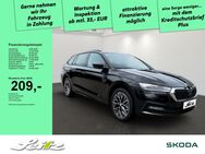 Skoda Octavia, 1.0 TSI Combi Ambition VIR, Jahr 2022 - Wangen (Allgäu)