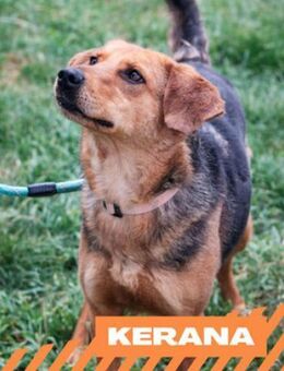 Kerana - temperamentvolle Lady - Berlin