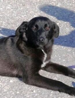 Die zarte Yale braucht noch etwas Mut - Karben