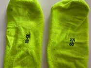 Socken in Neon Gelb - Lingen (Ems)