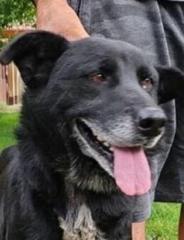 RUSTY braucht ein Ticket in die Freiheit - Hof